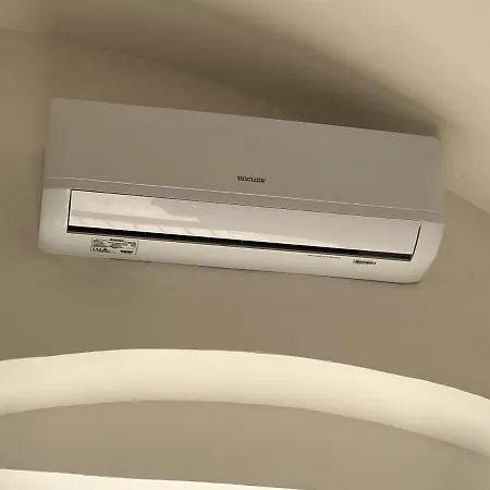 Zinzu * أوستوني