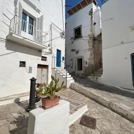 Zinzu - By Tripostuni Ostuni