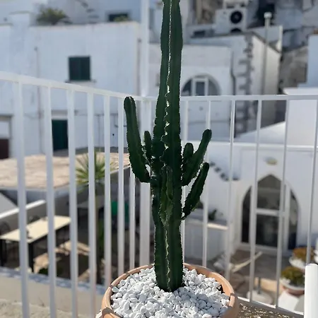 Zinzu بيت للعطل أوستوني