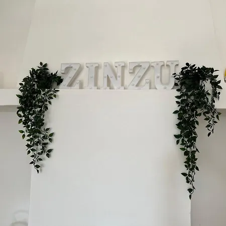 Zinzu - By Tripostuni *